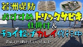 若洲堤防おすすめトリックサビキ仕掛け＆チョイ投げカレイ修行中 若洲海浜公園