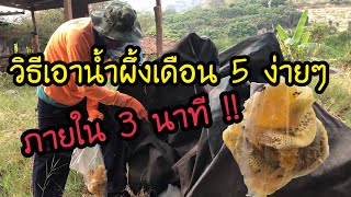 วิธีเอาน้ำผึ้งเดือน 5 ง่ายๆ ภายใน 3 นาที