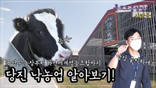 음메~~ 아가소들을 위한 유치원이 있다~? 당진의 낙농업 A to Z#홍보소통담당관사람들