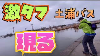 【霞水系おかっぱり】人気フィールドで釣りしてきたよ！！土浦バスは現れるか！？