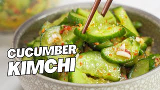 Oi Muchim 오이무침 CUCUMBER KIMCHI | Spicy Pickled Cucumber. Recipe by Always Yummy!