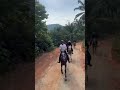 tnt arabian stable trail ride