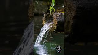 4K Relax music with the sounds of nature of  Zen Bamboo Water Fountain #love #sleep #asmr #china