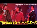 【The Biscats SPECIAL LIVE 『ロカビリーナイト』(Blu-ray)収録】「The Biscats / ハートのエース」LIVE MOVIE