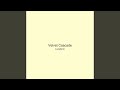 Velvet Cascade
