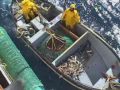 visite du navire usine de langoustes francais l austral