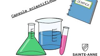 Capsule scientifique: Les 5 étapes de la démarche scientifique