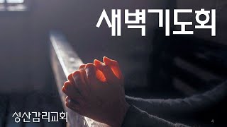 2025.2.26(수) 성산교회새벽/눅24:1~12 근심하던 여자들