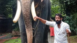 ചോര ഫാസിൽ video chora fasil new video