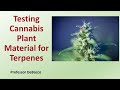 Testing Cannabis Plant Material for Terpenes