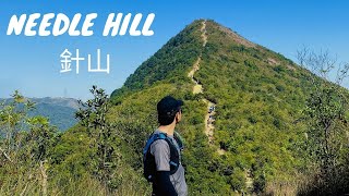 Needle Hill 針山