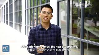 Keemun Black Tea