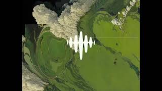 Real-Time Environmental Monitoring System