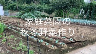 家庭菜園の秋冬野菜作り 19/9/1