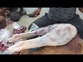 incredible mutton cutting skills Karachi pure desi goat meat shop