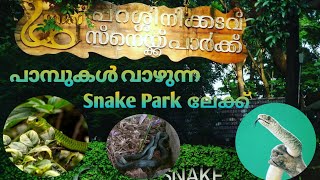 Parassinikadavu snake park in kannur | നിങ്ങൾക്ക് ഇത്രയും അടുത്ത് നിന്ന് പാമ്പുകളെ കാണാം.