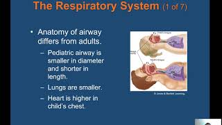 Ch 34 Pediatric Emergencies