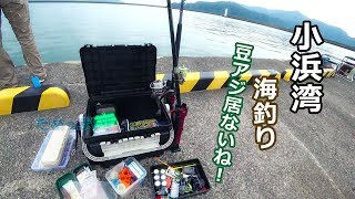 久しぶりの福井県小浜へ海釣り☆豆アジ居ませんね☆不覚にもカメラのバッテリー切れで画が取れず！