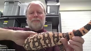 Experts weigh in after Gila monster bites, kills Colorado man