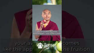 Growing Your Awareness with Yongey Mingyur Rinpoche