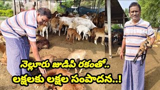 ప్రభుత్వ ఉపాధ్యాయునిగా రిటైర్ అయినప్పటి నుంచి వీటి పెంపకం చేస్తూ.. ఇప్పుడు నా ఆదాయం..?