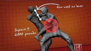 Human Weapon Silat Sinking Python