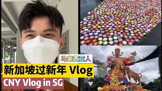 马来西亚人第二年在新加坡过农历新年 VLOG ~Malaysian celebrating CNY in Singapore Vlog