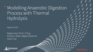 Modelling the Thermal Hydrolysis Process in GPS-X