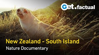 New Zealand - Wild at Heart | Full Nature Documentary