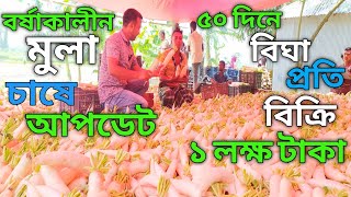 বিঘা প্রতি বিক্রি ১ লক্ষ টাকা||বর্ষাকালীন মুলা চাষ!!