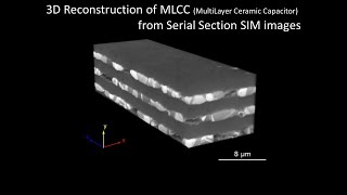 [Electronics] 3D Reconstruction of MLCC(MultiLayer Ceramic Capacitor) from Serial Section SIM images