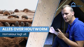 Houtworm herkennen en bestrijden - Homekeur legt uit - Alles over houtwormen