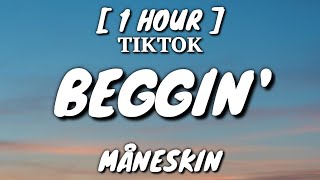 Måneskin - Beggin' (Lyrics) [1 Hour Loop] [TikTok Song]