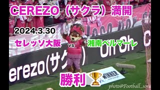 湘南に勝利しセレッソ大阪🌸３連勝🌸勝利を祝う「CEREZO（サクラ）満開」のダンス