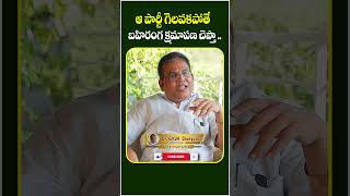 ఆ పార్టీ గెలవకపోతే నా ముక్కు కోసుకుంటా  #gvlncharyulu #gvlnarasimharao #youtubeshorts #ytshorts #ytt