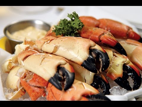 Stone Crabs and Key Lime Pie: Florida Keys Food Adventure Stone Crabs and Key Lime Pie: Florida Keys Food Adventure