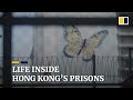 The ‘dead volcanoes, calves and piglets’ behind the walls of Hong Kong’s prisons