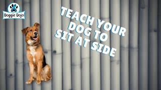 Teaching Your Dog to Sit At Side