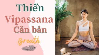 Thiền định cho người mới bắt đầu - Thiền Vipassana căn bản - Breath.vn