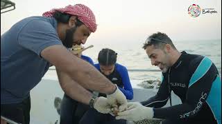 Finding shells - Experience Bahrain - Your Bahrain