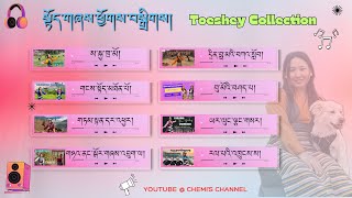 TOESHEY COLLECTION 2025 སྟོད་གཞས་ཕྱོགས་བསྒྲིགས། Tibetan song | Gorshey collection 2025