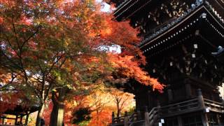 紅葉秋色京都7 金戒光明寺 真如堂　2013 Autumn color in Kyoto.