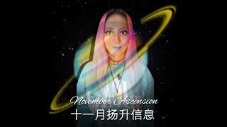 【ENG.DE】November Ascension11月扬升信息—性的真正解读，黑暗与光明的极性的体验，深层灵魂恶业清理