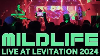 MILDLIFE - Live at Levitation 2024