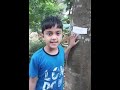 introducing a tree in a backyard kamaliya students.