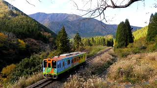 【4K】晩秋の樽見鉄道　 Nikon coolpix p1000