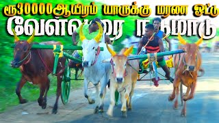 2புதுக்கோட்டை(மா) வேள்வரை பந்தயம் 12.08.2024