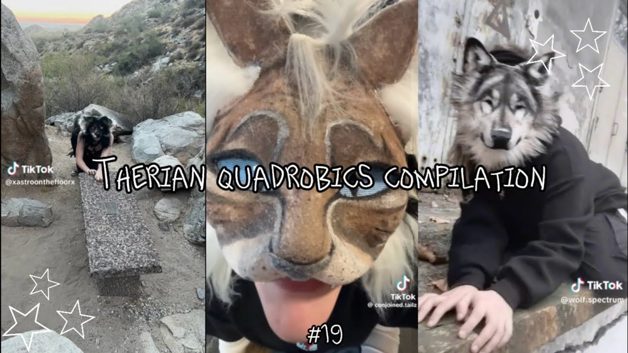 Therian Quadrobics Compilation 19 Youtube