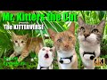 Mr. Kitters presents The Kitterverse! Seasonn 1 Episode 15 📣🐈 Life is better with a Kitten! 🐱📺🍿❤️