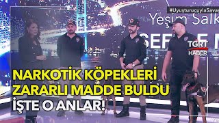 Stüdyoda Narkotik Köpekleri Zararlı Madde Buldu: İşte O Anlar - Yeşim Salkım ile Şeffaf Masa